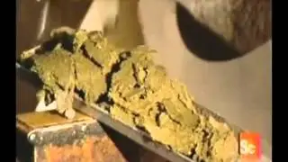 Canola Oil, how it is made
