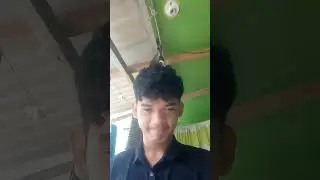 SCIENCE PROJECT GRADE 8 ALTRUISM CELMAR COSEP