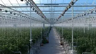 Ultra Clima Greenhouse