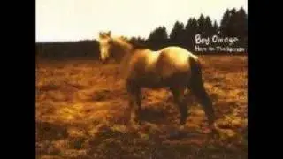 Boy Omega - True Haven