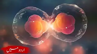 🧫Mitosis | MADE EASY! | In Urdu / Hindi