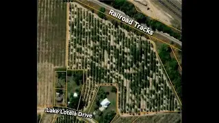 Dalton Wade Real Estate Group - 790 LAKE LOTELA DRIVE