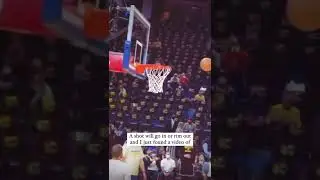Have you heard of the NBA magnets? #shorts #nba #stephcurry
