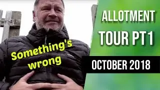October Tour of Allotment 2018 but something is wrong. A walk around no dig garden and poly tunnel