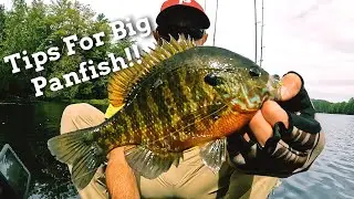 Adirondack Fishing Trip Part 1: Bass and Panfish