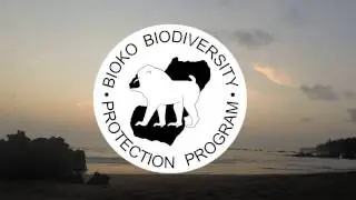 Drexel Study Abroad on Bioko Island
