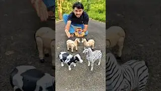 Remote Control 4 tal Cow and horse aur zebra Unboxing Dhako 😱