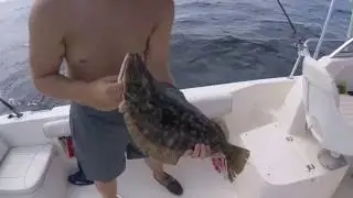 NJ FLUKE FISHING 9.5LB FISH+FULL BOAT LIMIT OUT SUMMER 2016