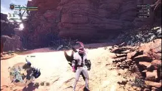 MHW: Iceborne - Day Training - Lynian Research - Location