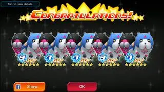 Dual Meow Wow Demonstration