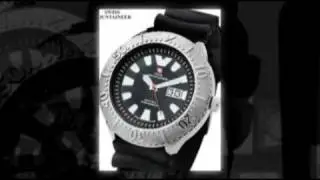 Swiss Mountaineer Men's Watch SM1300