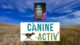 Bird Dogs Afield SE1 EP2