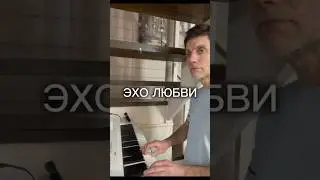 ЭХО ЛЮБВИ #романкоролевский