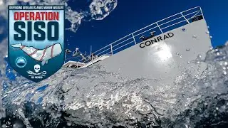 New boat against ILLEGAL FISHING in the MEDITERRANEAN, the 