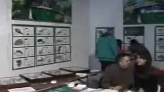 Funny09.flv