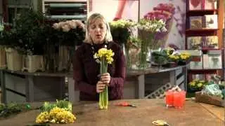 PAULA PRYKE FLOWERS