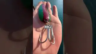 Fishing with a HUGE SPOON 🐟🎣 #fishing #fish