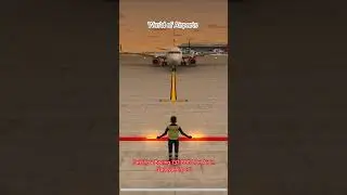 Boeing 737-800 Lion Air | Parking MiniGame (Nagoya) | World of Airports