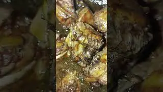 Liquid Chicken 🍗🐔 #food #cooking #china #usa