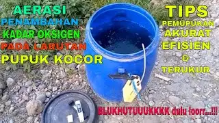 TIPS PEMUPUKAN PADA TANAMAN BUDIDAYA