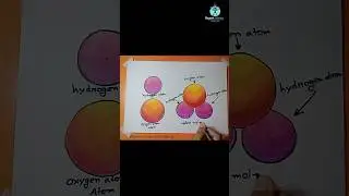 How to drawing Water Molecule Diagram #drawing #sciencediagram #molecule #diagram #shorts