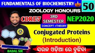 Conjugated proteins|Biochemistry|Biochemistry core7 Zoology honours|Zoology honours 3rd semester 