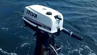 Selva Sea Bass 5 F118A - запуск и работа (3-я часть)