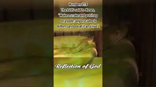 #shorts #jesus #reflection #nature #god #snake #short