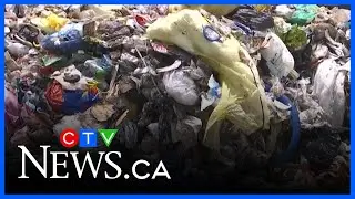 Human health threat from plastics to skyrocket: researchers