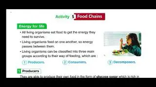 science grade 5 first term lesson 2 concept 1.2 food energy mr lbrahim mosa