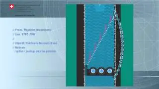 Comment les poissons contournent les turbines