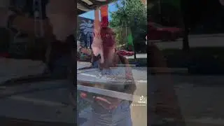 Holla Mode
