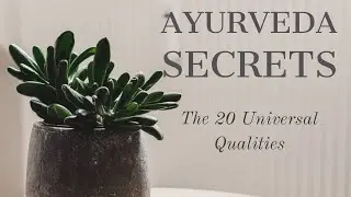 WHAAAT!? It's THAT SIMPLE?! 20 Gunas / Qualities of Ayurveda