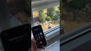 Ex Freund anrufen Prank geht schief 😳 #shorts