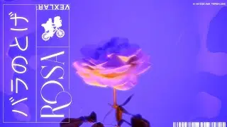 ROSA (Clip Officiel) - VEXLAR