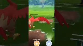 This is Why You Must Have a Talonflame in Ultra League | Pokemon Go |