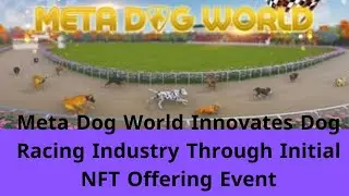 Meta Dog World Innovates Dog Racing Industry Through Initial NFT Offering Event