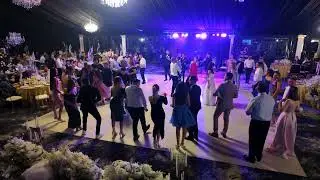 Alina Rosca ✘ Profesional Orchestra - Muzica Usoara(live 2025)