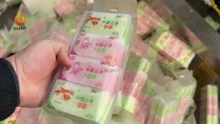 Mini Pack Wet Wipes Machine | Mini Wet Wipes Machine