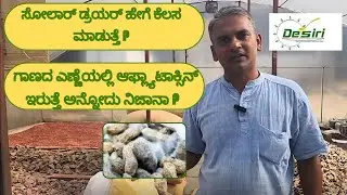 Solar dryer for seeds 🌞 Genius zero-energy tech that boosts oil yield naturally! #SustainableFarming
