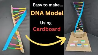 How to make DNA Structure Model from Cardboard  | DNA Model | Science Project  | Science Exhibition