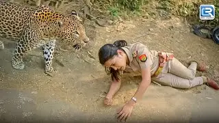 Haseena  के जान के पीछे क्यों पड़ा ये खतरनाक  Leopard | The Kapil Sharma Show S2 | Full Episode 580