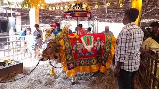 Cumbum Nandagopalan kovil Pongal 2026 | மாட்டு பொங்கல் கம்பம் நந்தகோபாலன் கோயில்