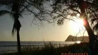 Sea Turtle Conservation in Costa Rica - World Endeavors Volunteer Abroad