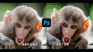 How to Create a Creative Cartoon Effect in Photoshop Tutorial