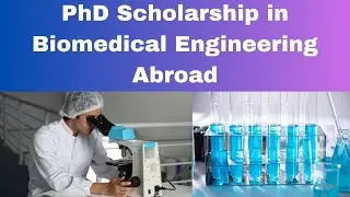 PhD Scholarship in Biomedical Engineering Abroad #scholarship #education