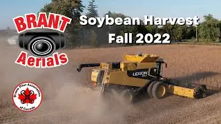 Soybean Harvest 2022