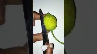 Amazing best fruit 🍑 #shorts #asmr