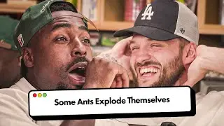 TGF Actually Proposed To...