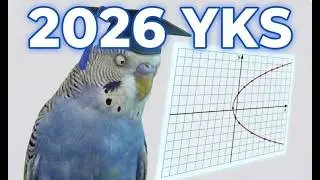 GRAFİK YORUMU - AYT MATEMATİK 1 SORU 1 YORUM